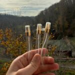 3 Adet Seçtiğiniz Kokuların Muadillerinden Oluşan Test Seti 10ml Edp Parfümü